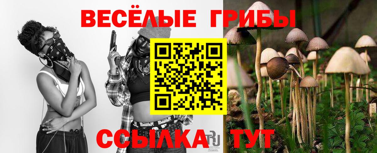 Новотроицк  Псилоцибиновые грибы Cubensis  Вход с VPN 